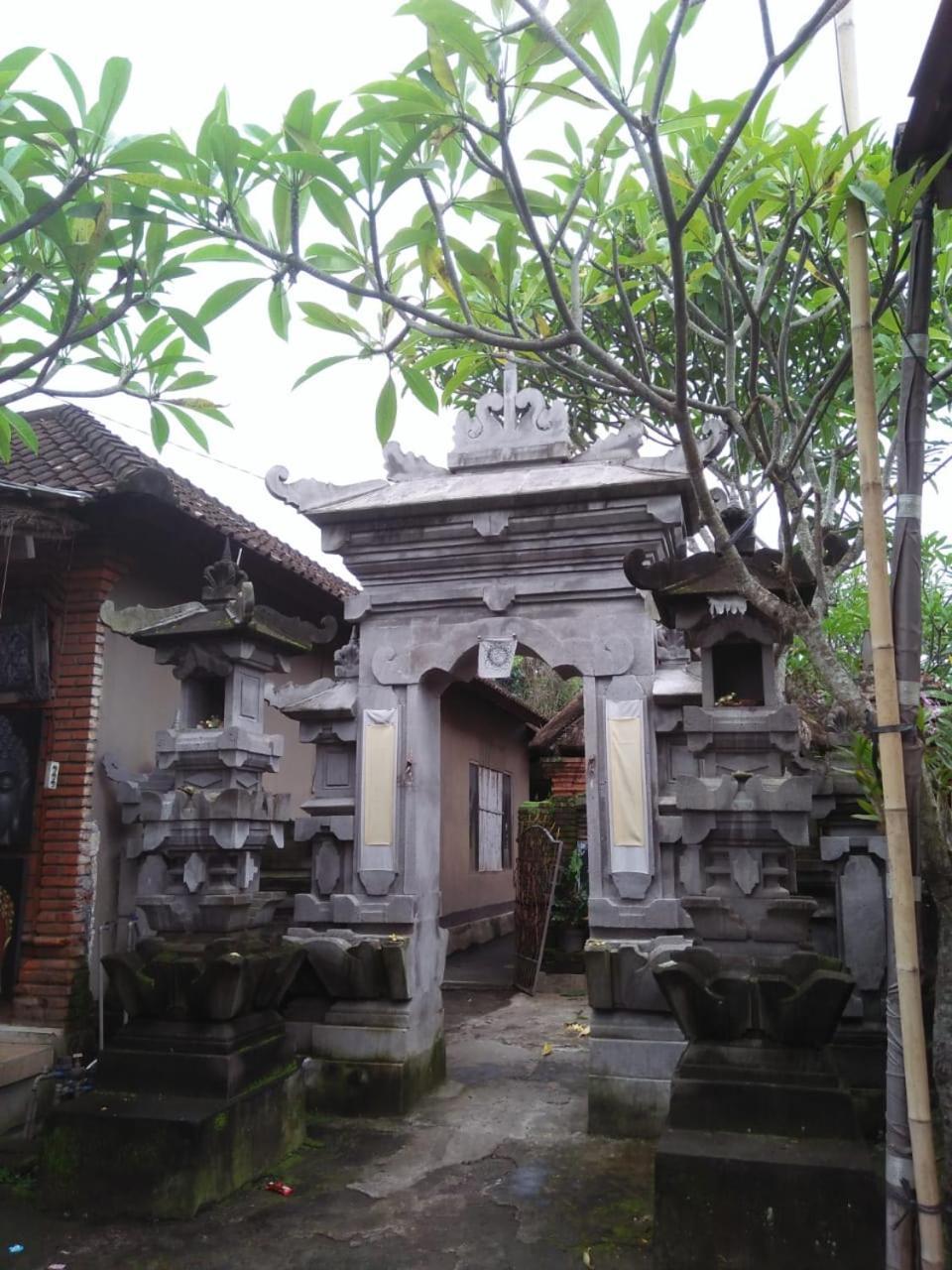 Bed and Breakfast Lionk Bali House à Ubud Extérieur photo